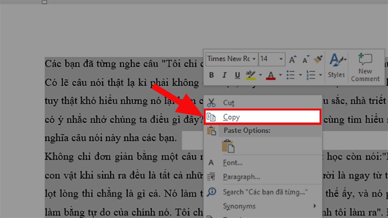 copy 1 trang trong word