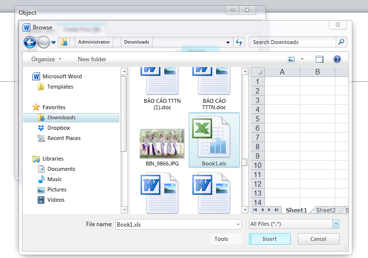 cách chèn file excel vào word