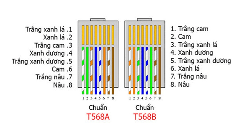 cách bấm dây mạng