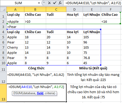 hàm tính tổng có điều kiện